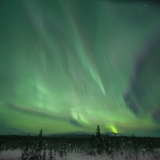 Jeris week 45 12-5530